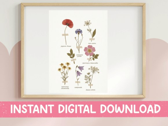 Botanical Wildflower Chart Sticker: A Versatile Graphics Asset for T-Shirt Designs and More